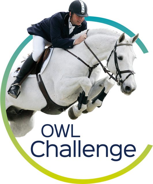 OWL Challenge